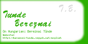 tunde bereznai business card